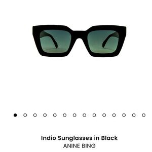 Anine Bing Indio Sunglasses in Black